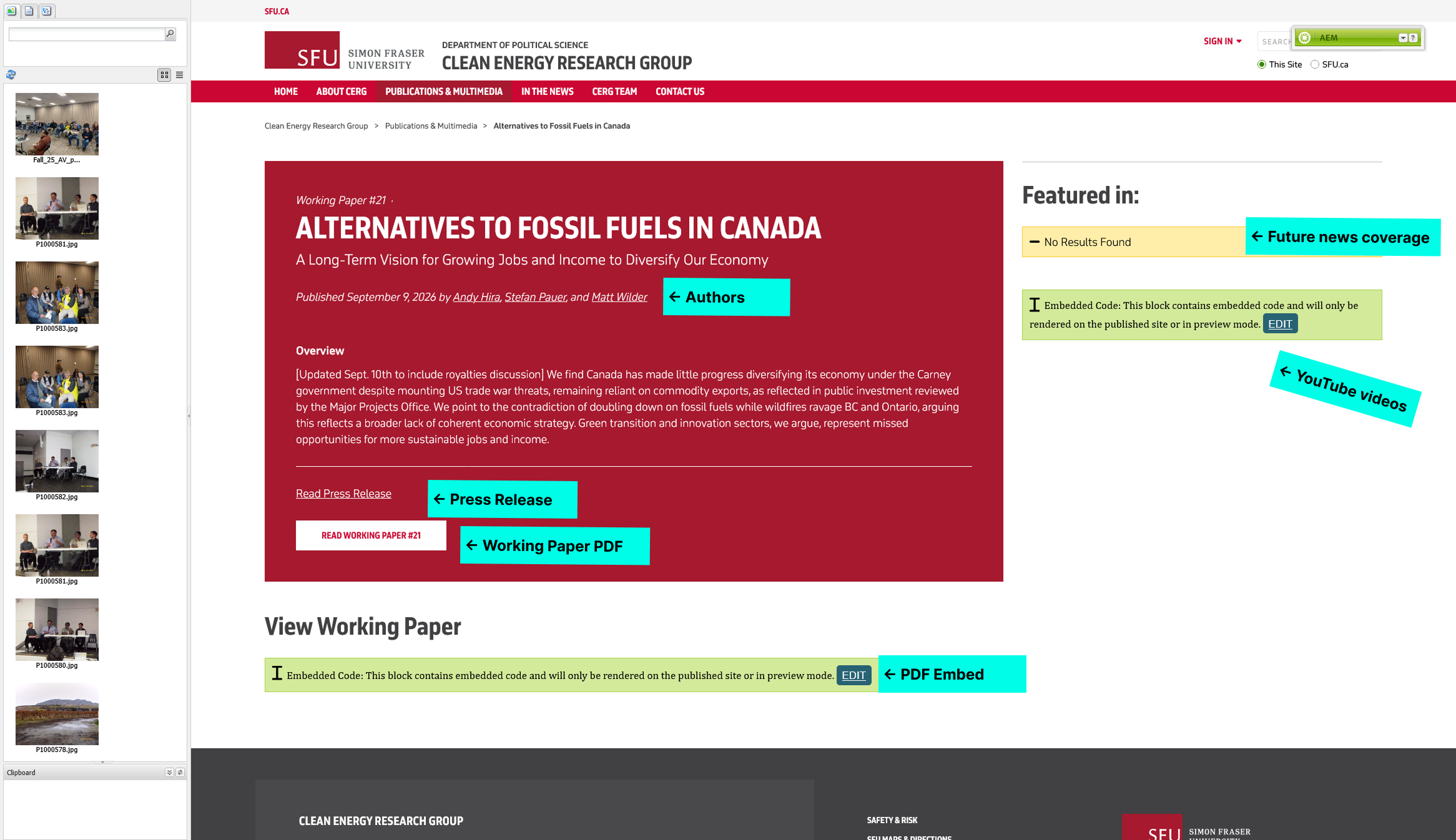 Content to change on the Working Paper page